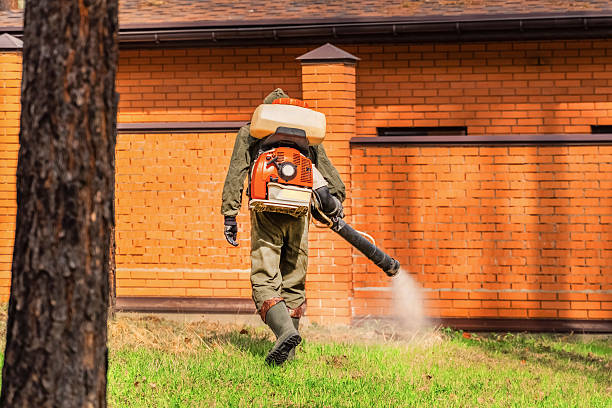 Trusted Mosquito Control service in Cohasset, MN - Nex Pest Control